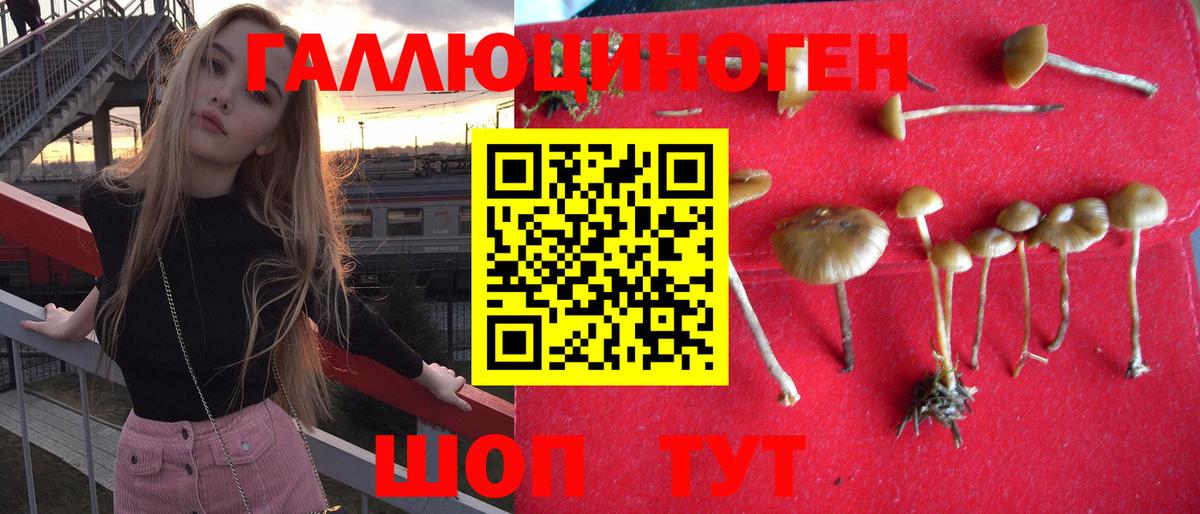 Галлюциногенные грибы Psilocybine cubensis  Вход с VPN  Уссурийск  Галлюциногенные грибы Magic Shrooms 