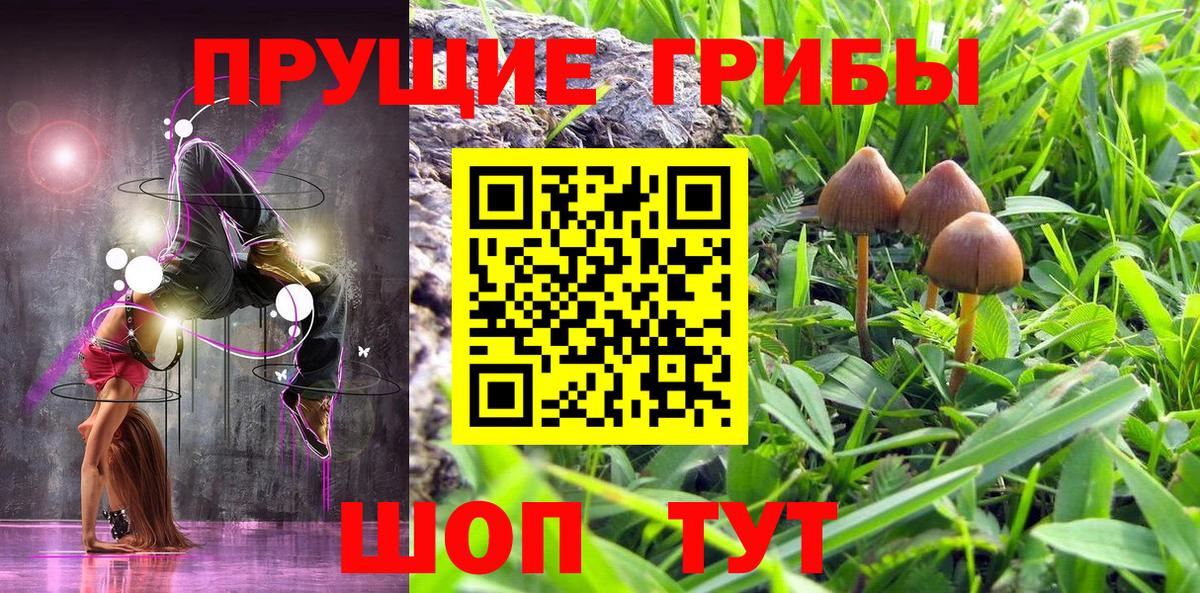Псилоцибиновые грибы Psilocybine cubensis Уссурийск